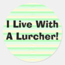 Search for greyhound racing stickers Lurcher