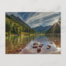 Search for parkland postcards Forest