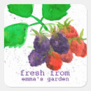 Search for blackberry fruit stickers Food