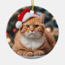 Search for ginger christmas tree decorations Fun