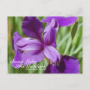 Search for purple garden flowers postcards Gardens