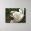 Search for white magnolia canvas prints Southern