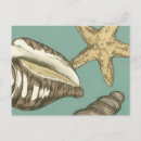 Search for teal background postcards Megan meagher