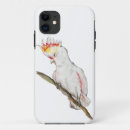 Search for shell parrot iphone cases Watercolor