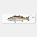 Search for bait bumper stickers Ocean