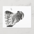 Search for goshawk Wildlife