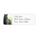 Search for friesian horse return address labels Horses