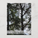 Search for shall vertical postcards Jesus
