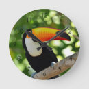 Search for america clocks Animal
