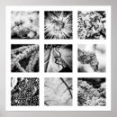 Search for series posters Nature