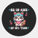 Search for racoon stickers Autistic