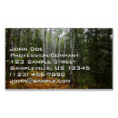 Search for fall tree business cards Nature