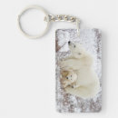 Search for carnivorous key rings Danita delimont