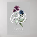 Search for cancer posters Astrology