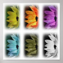Search for multi region posters Nature