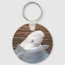 Search for beluga whale key rings Animal
