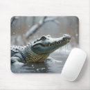 Search for swamp electronics Crocodile