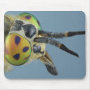 Search for compound mouse mats Antenna