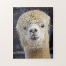 Search for alpaca puzzles Cute