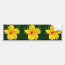 Search for hibiscus bumper stickers Flower