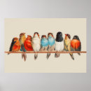 Search for perching bird posters Vintage