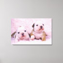 Search for english bulldog posters Togetherness