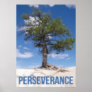 Search for motivational persistence posters Persistent