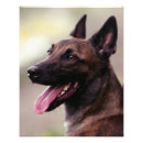 Search for german shepherd photo posters Pet