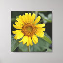 Search for sunny canvas prints Summer