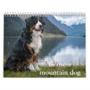 Search for bernese mountain dog gifts Canine