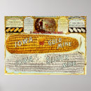 Search for vintage mining posters Antique