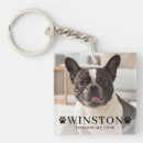 Search for dog rainbow bridge key rings Photo collage
