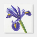 Search for greeting card magnets Blue