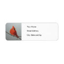 Search for northern cardinal return address labels Nature