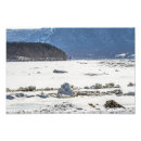 Search for freezing art Nature