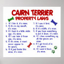 Search for cairn posters Dog