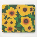 Search for yellow patch Sunflower