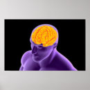Search for 3 8 posters Illustration