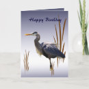 Search for waterbirds cards Blue