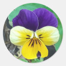 Search for pansy stickers floral