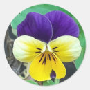 Search for pretty pansy stickers Purple