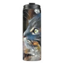 Search for norwegian forest cat mugs Feline