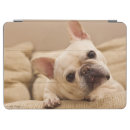 Search for french bulldog puppy ipad cases canine
