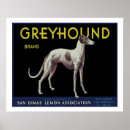 Search for dog kennel posters Vintage