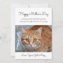 Search for black cat mothers day cards Kitty