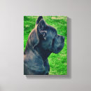 Search for cane corso art Mastiff
