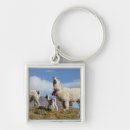 Search for herd key rings Animal