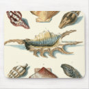 Search for shell beach mouse mats Sea