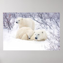 Search for danita delimont posters Canadian