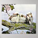 Search for tail posters Flowers